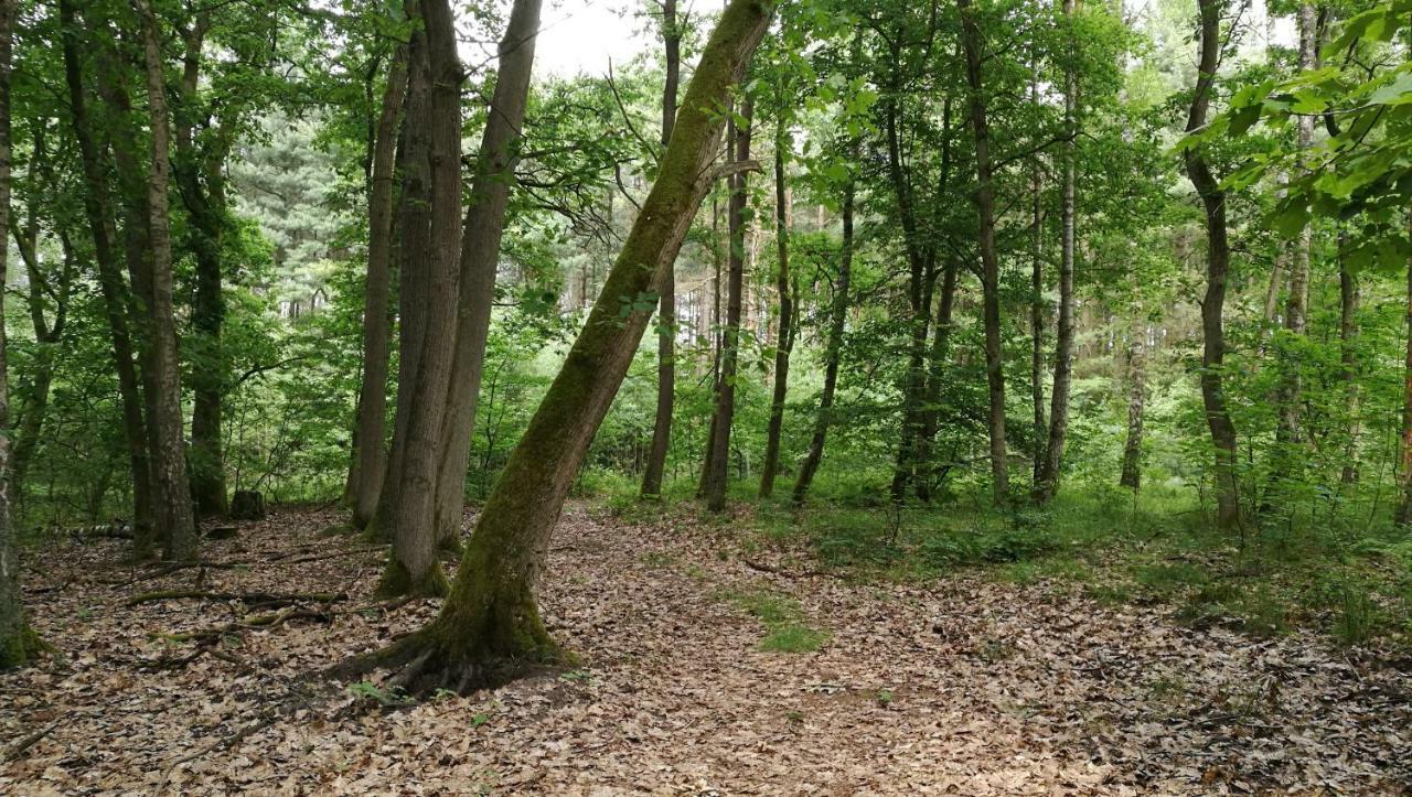 Ferienhaus Dora Villa Rechlin Dış mekan fotoğraf