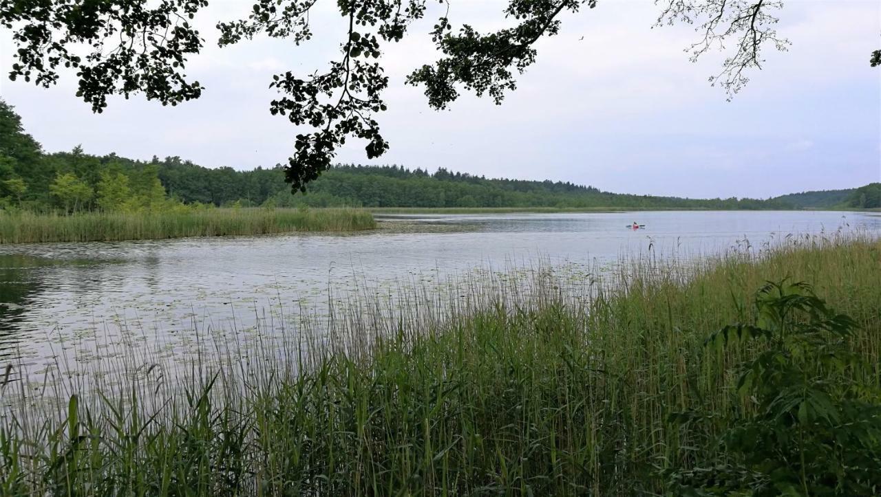 Ferienhaus Dora Villa Rechlin Dış mekan fotoğraf